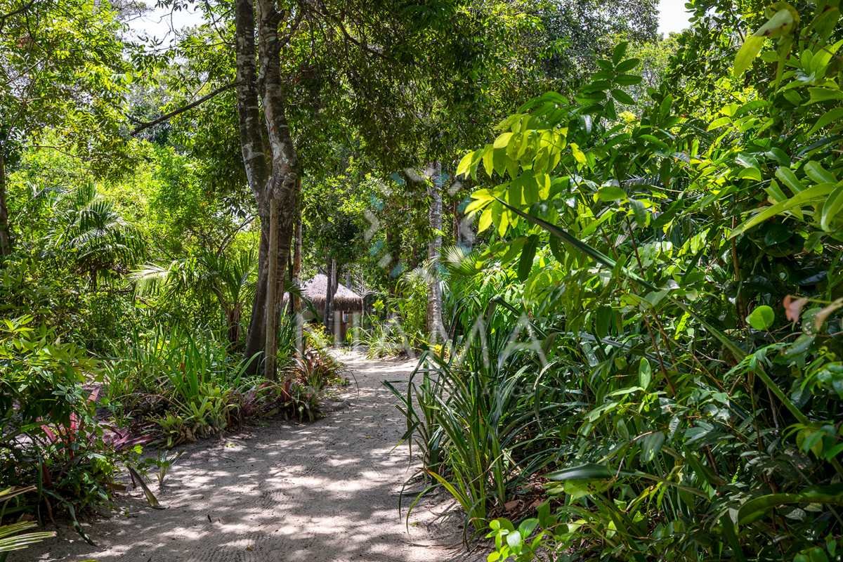 casa aluguel itapororoca trancoso